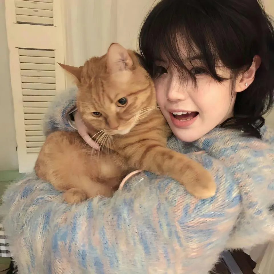 四小时逆袭指南